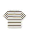 MLB Women's Sportive Stripe Crop T-Shirts