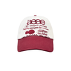 AEAE Web Logo Two Tone Ball Cap