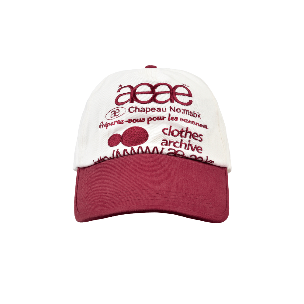 AEAE Web Logo Two Tone Ball Cap