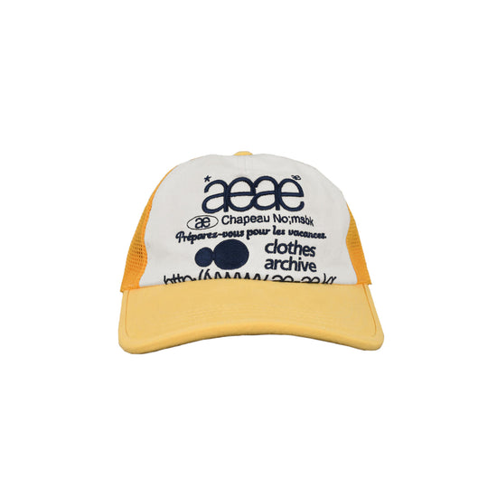 AEAE Web Logo Mesh Cap