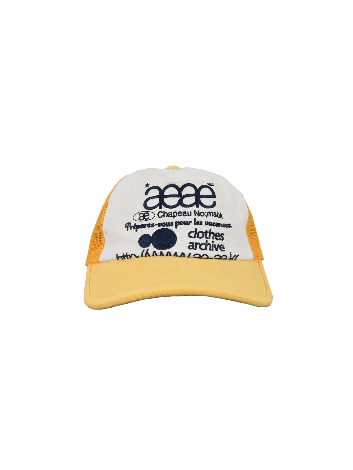 AEAE Web Logo Mesh Cap