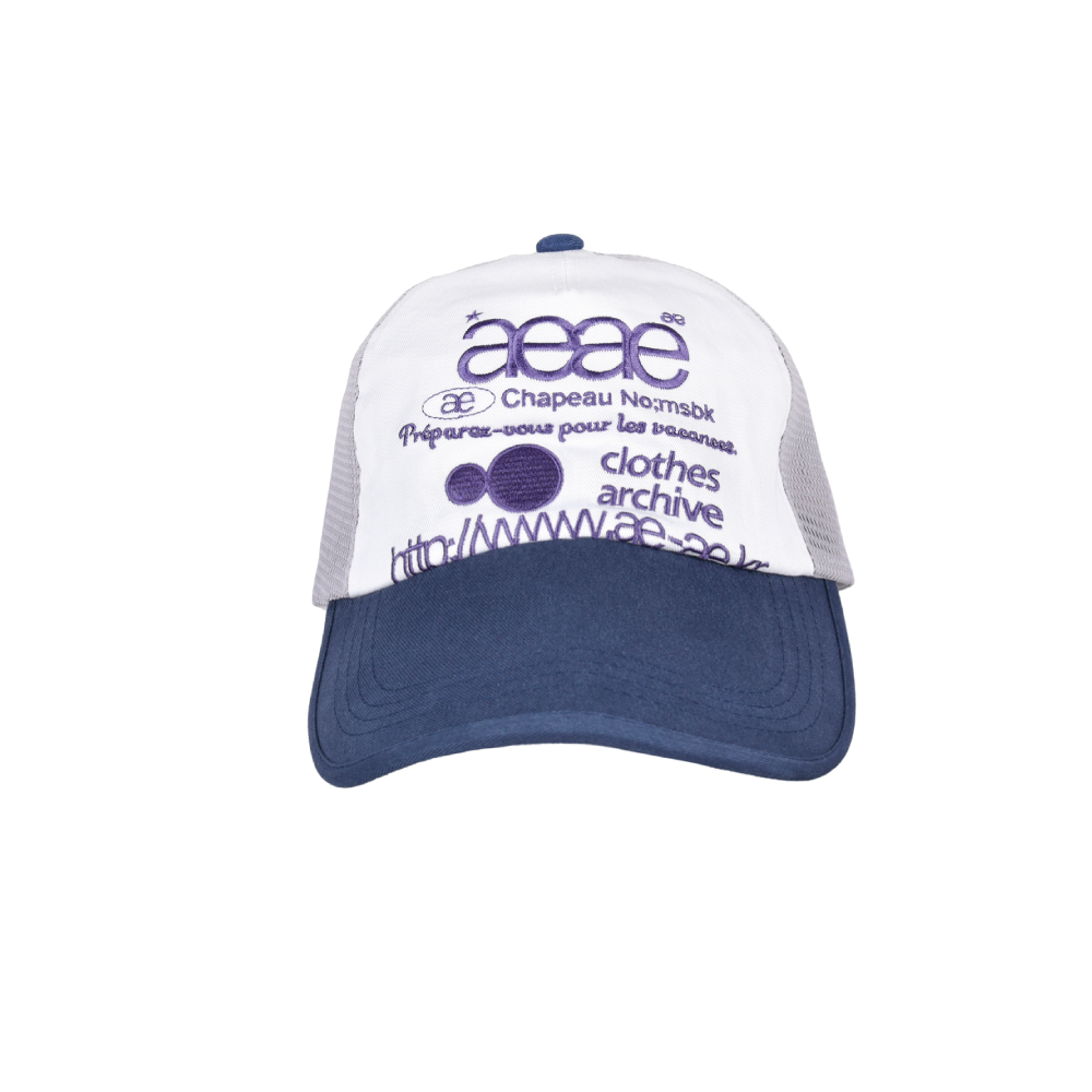 AEAE Web Logo Mesh Cap