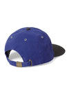 thisisneverthat 2009 Cap