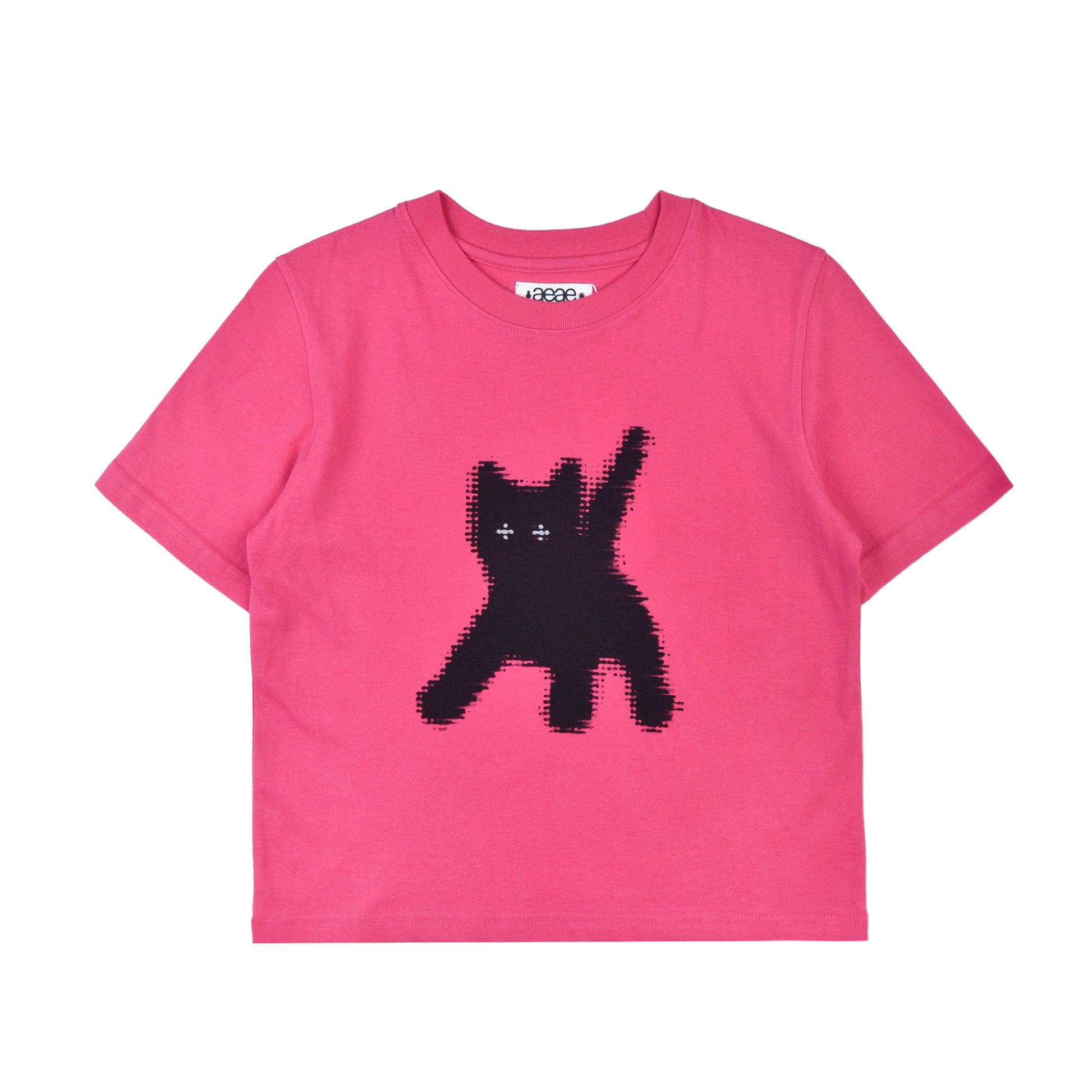 AEAE Flashed Cats Eye Crop T-Shirt