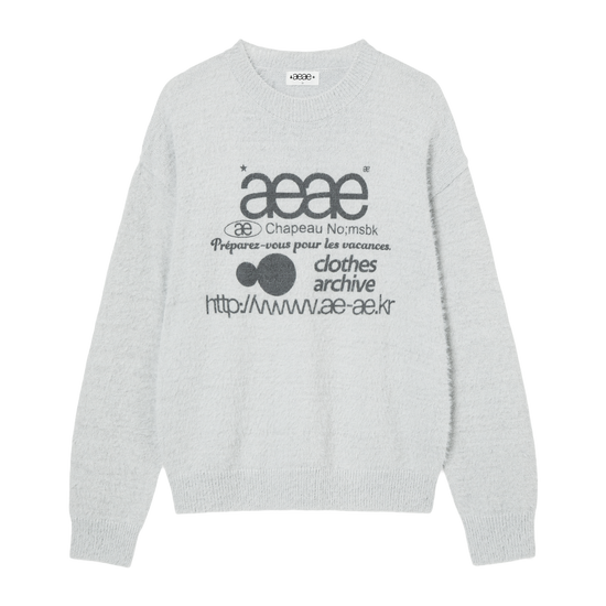 AEAE Web Logo Knit Pullover