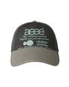 AEAE Web Logo Mesh Cap