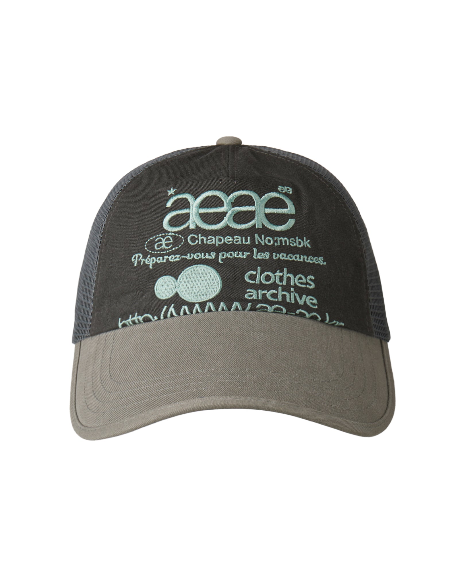 AEAE Web Logo Mesh Cap