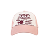 AEAE Web Logo 5 Panel Cap