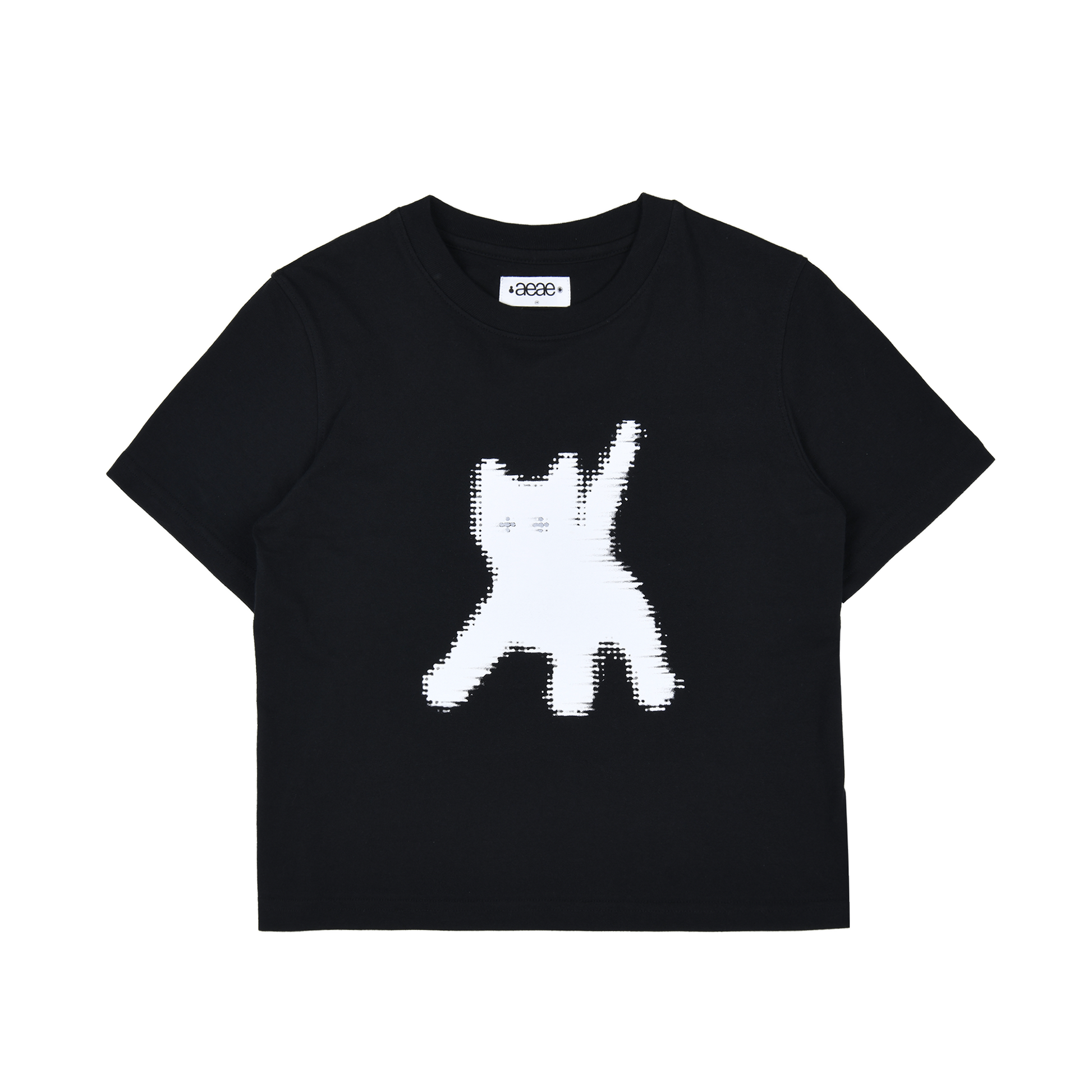 AEAE Flashed Cats Eye Crop T-Shirt
