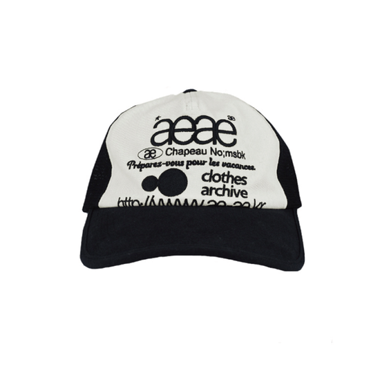 AEAE Web Logo Mesh Cap