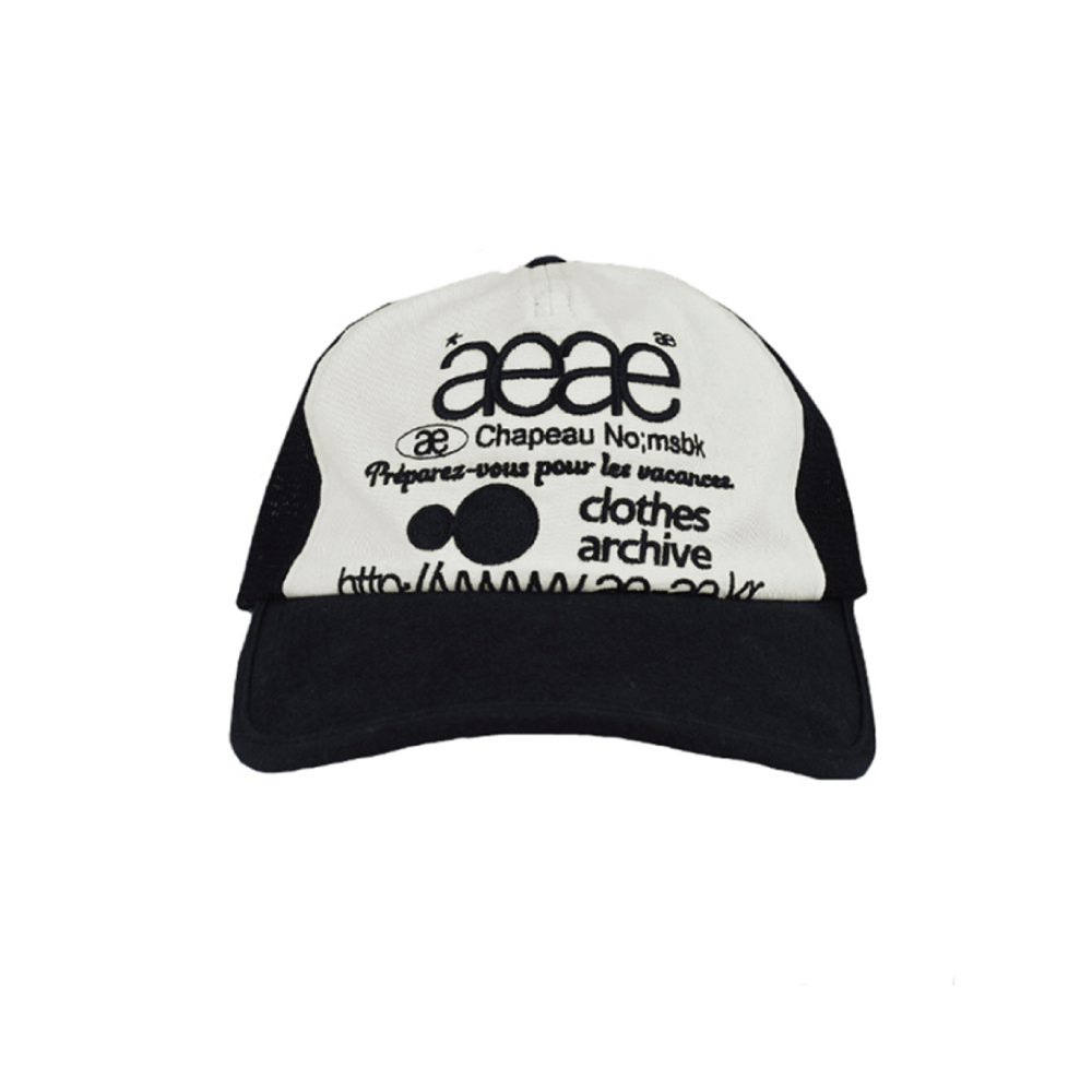 AEAE Web Logo Mesh Cap