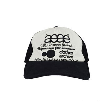 AEAE Web Logo Mesh Cap