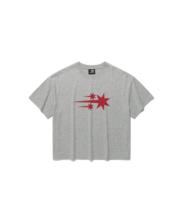 Nice Ghost Club 3star Big Crop Tee [Grey]