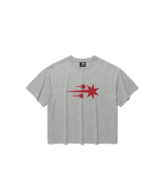 Nice Ghost Club 3star Big Crop Tee [Grey]