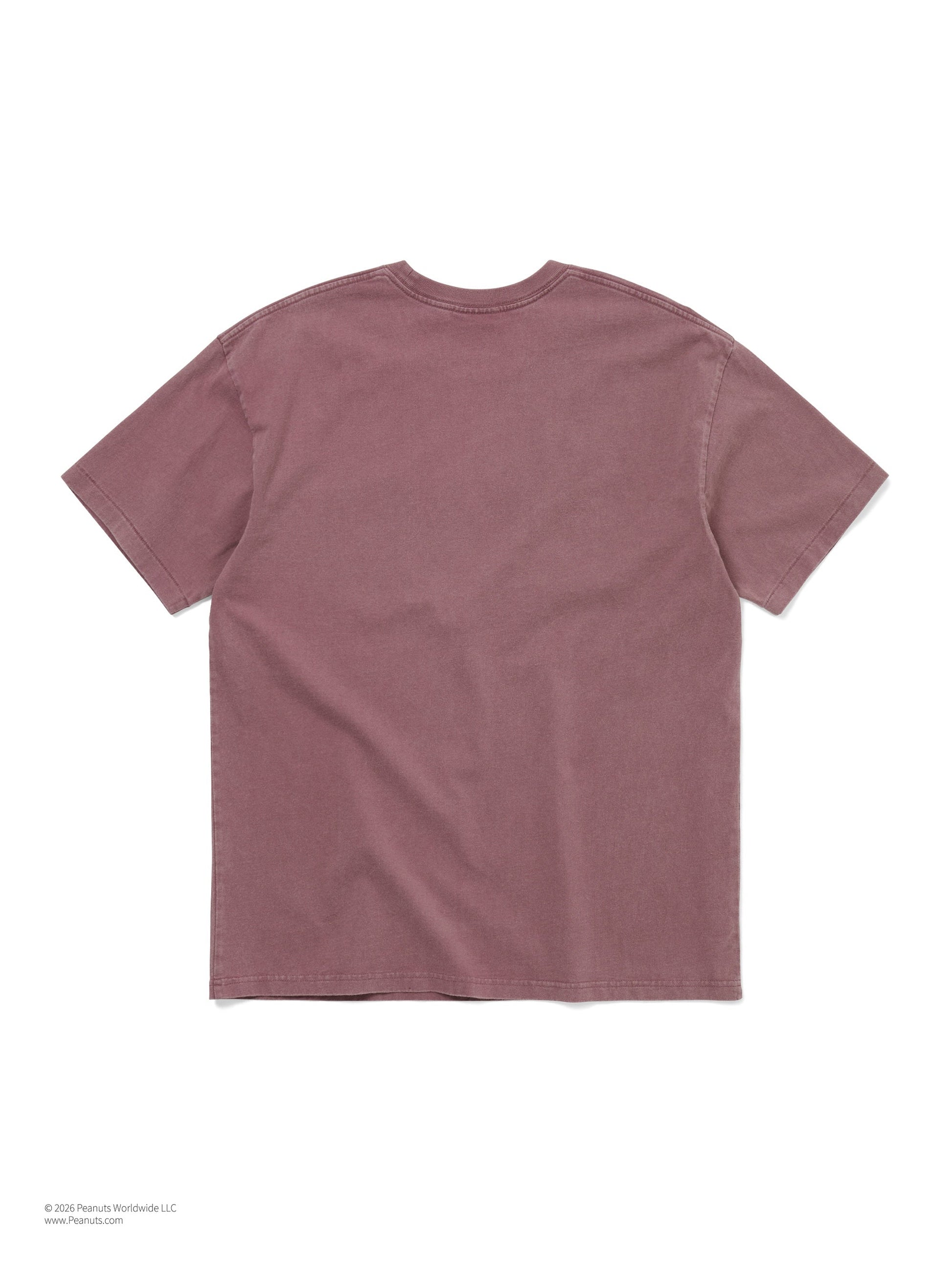 thisisneverthat TNT PEANUTS Comic Strip Tee
