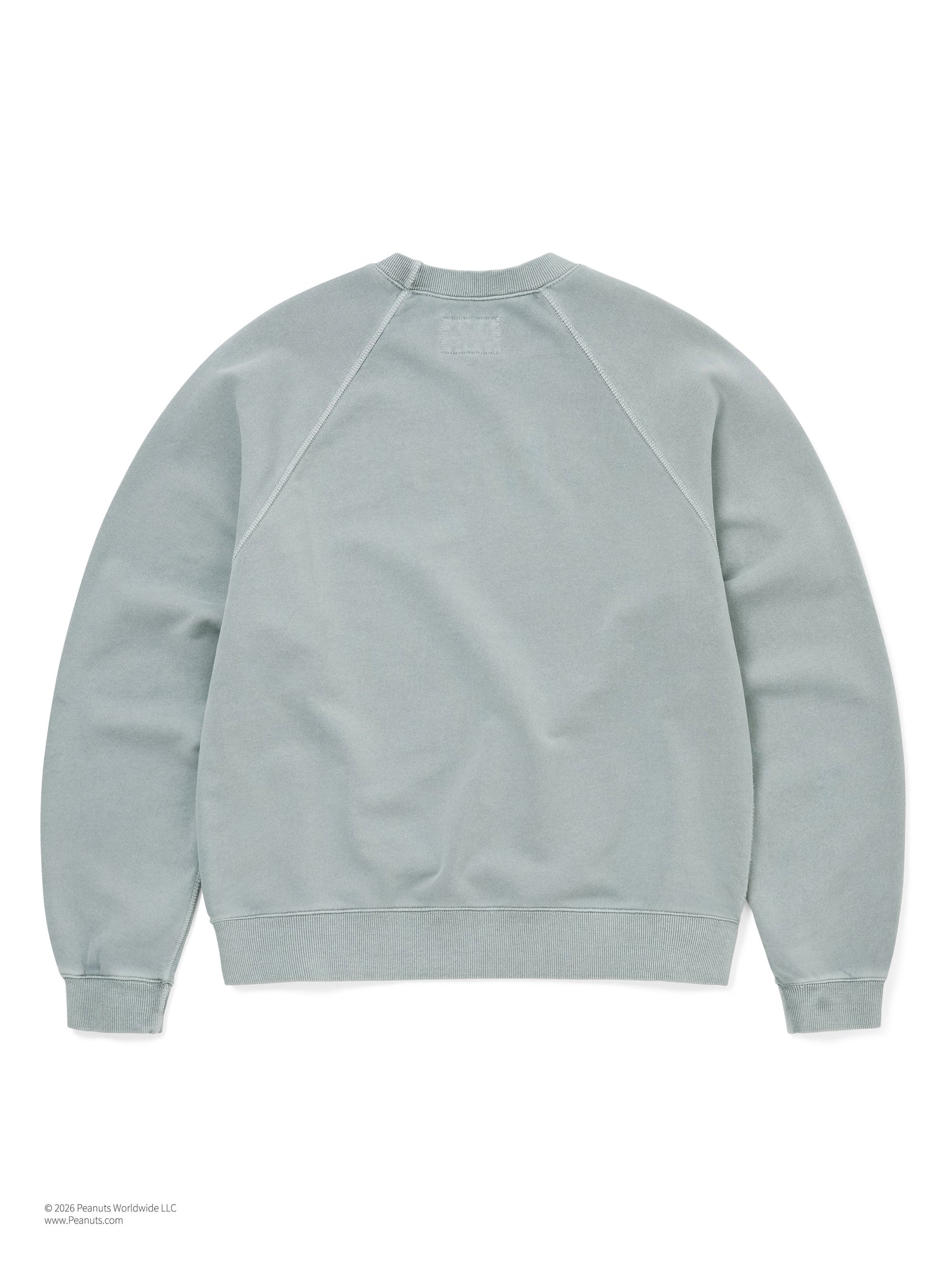 thisisneverthat TNT PEANUTS Faded Crewneck