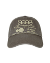 AEAE Web Logo Washed 5 Panel Ball Cap