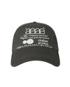 AEAE Web Logo 5 Panel Ball Cap