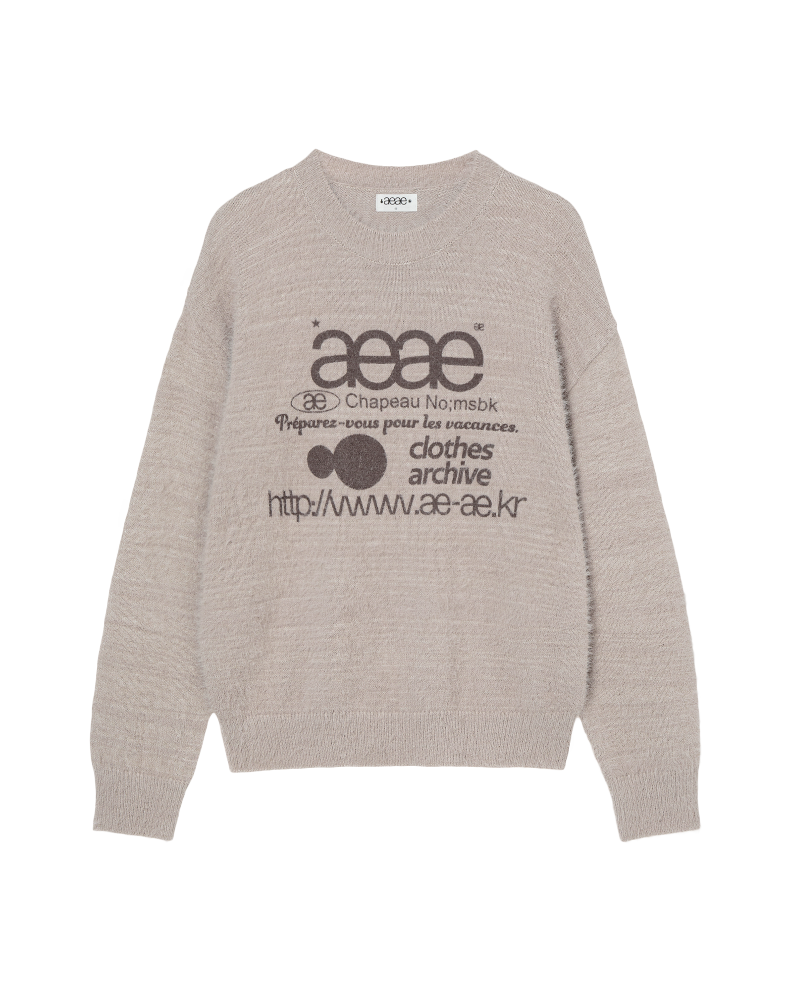 AEAE Web Logo Knit Pullover