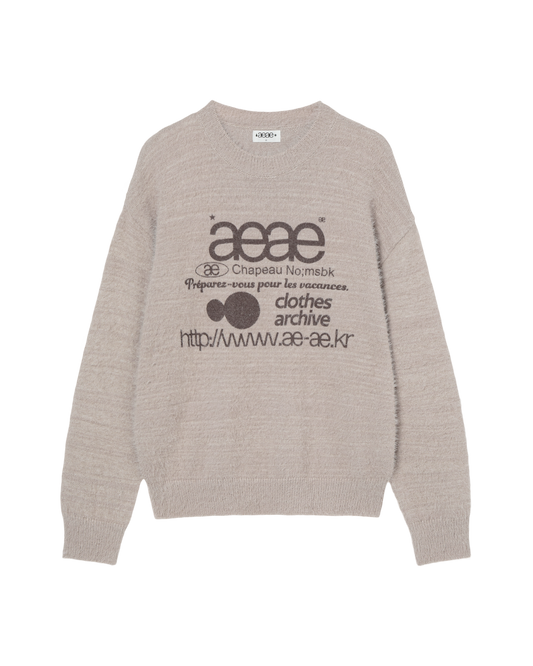 AEAE Web Logo Knit Pullover
