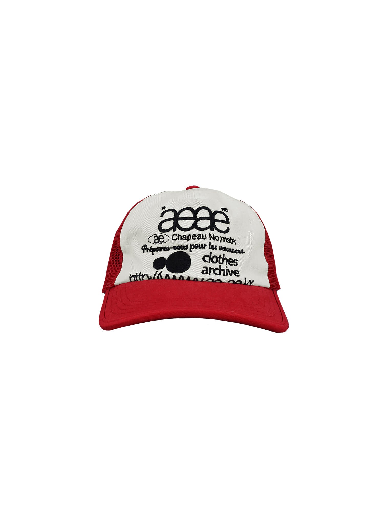 AEAE Web Logo Mesh Cap