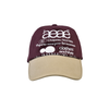 AEAE Web Logo Two Tone Ball Cap