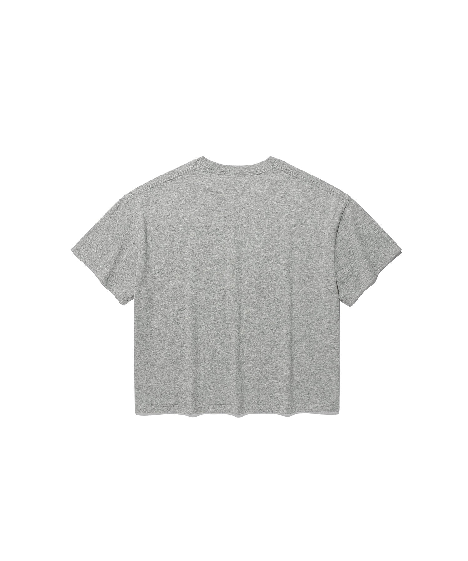 Nice Ghost Club 3star Big Crop Tee [Grey]