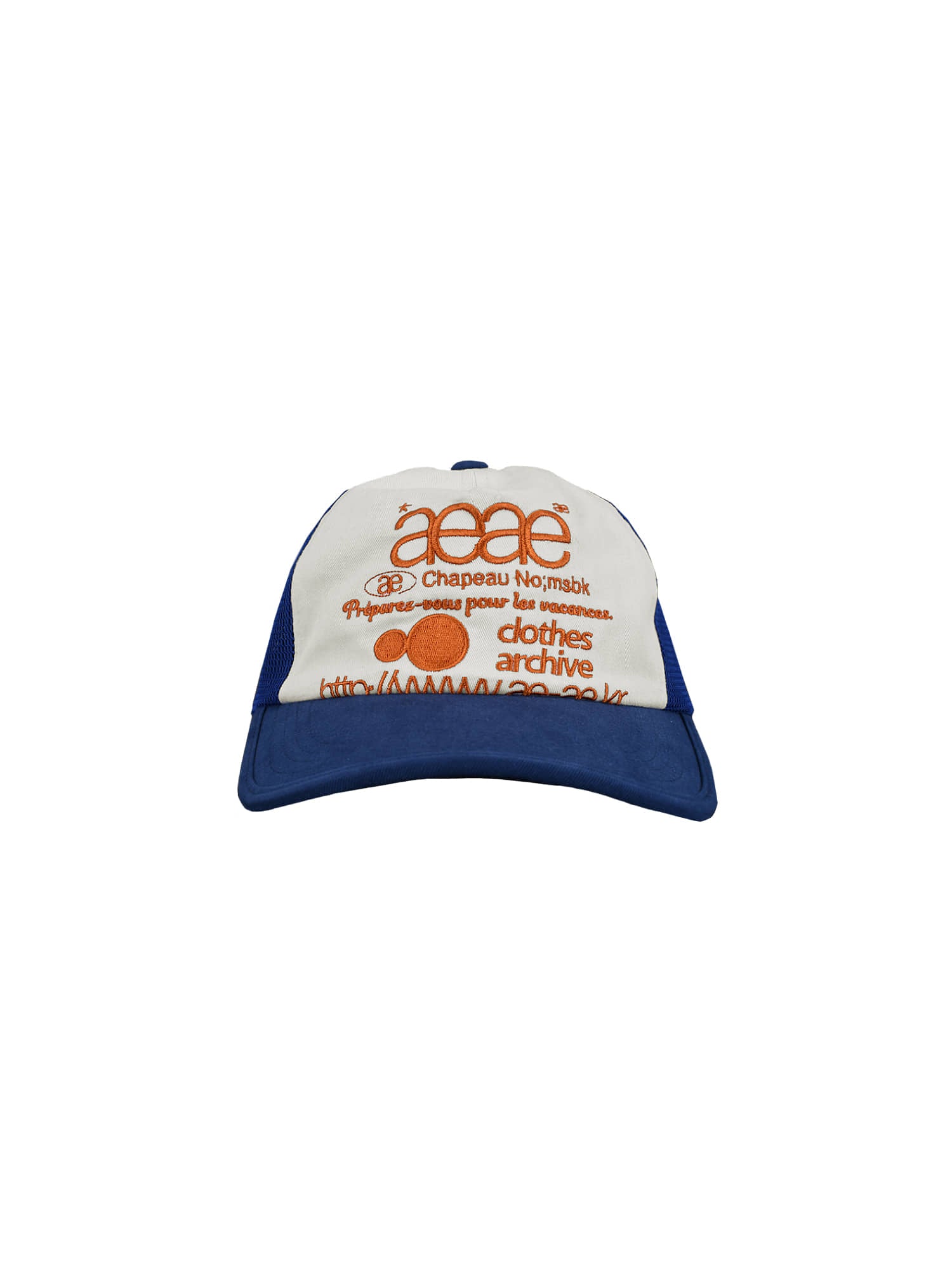 AEAE Web Logo Mesh Cap