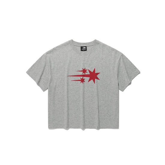 Nice Ghost Club 3star Big Crop Tee [Grey]