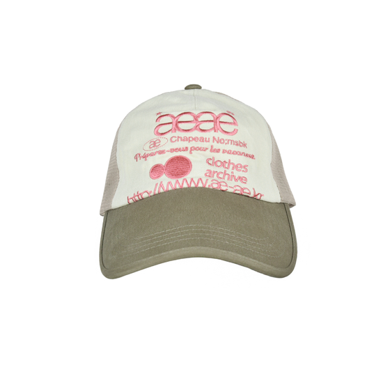 AEAE Web Logo Mesh Cap