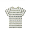 Cavish Sun Light Raglan Short Sleeve Tee