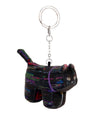 Mahagrid Madness Cat, Domestic Shorthair