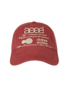 AEAE Web Logo Washed 5 Panel Ball Cap