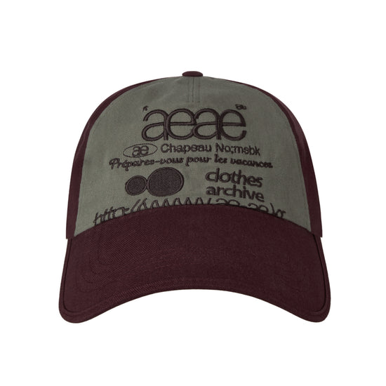 AEAE Web Logo 5 Panel Ball Cap