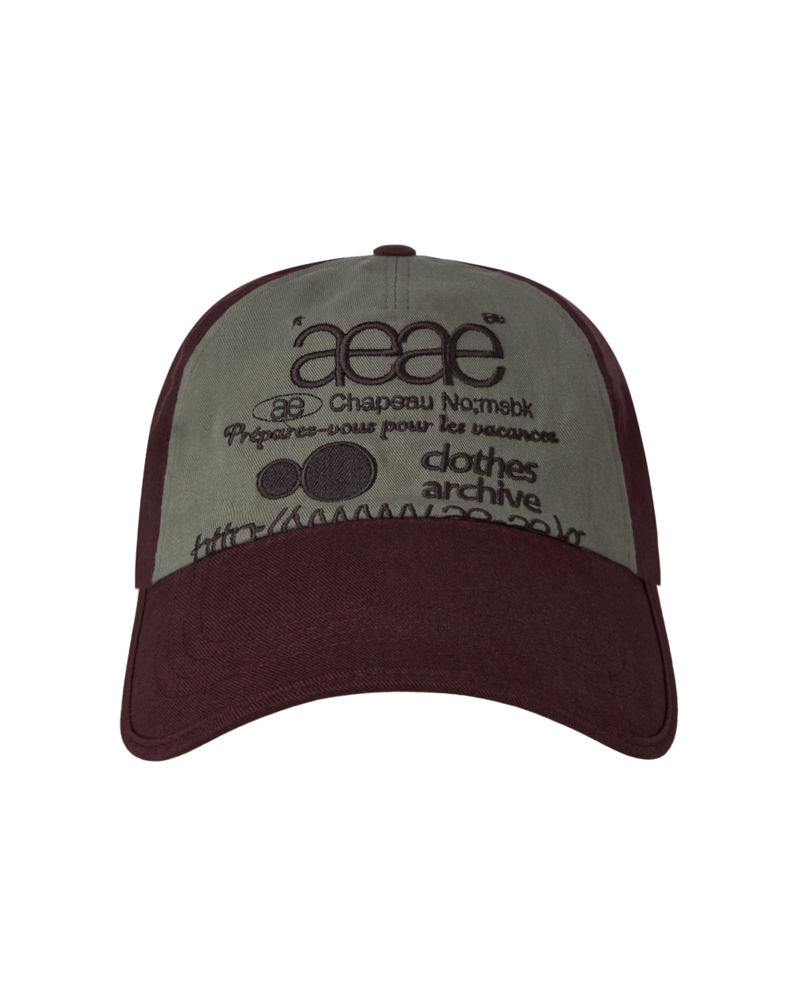 AEAE Web Logo 5 Panel Ball Cap