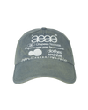 AEAE Web Logo Washed 5 Panel Ball Cap