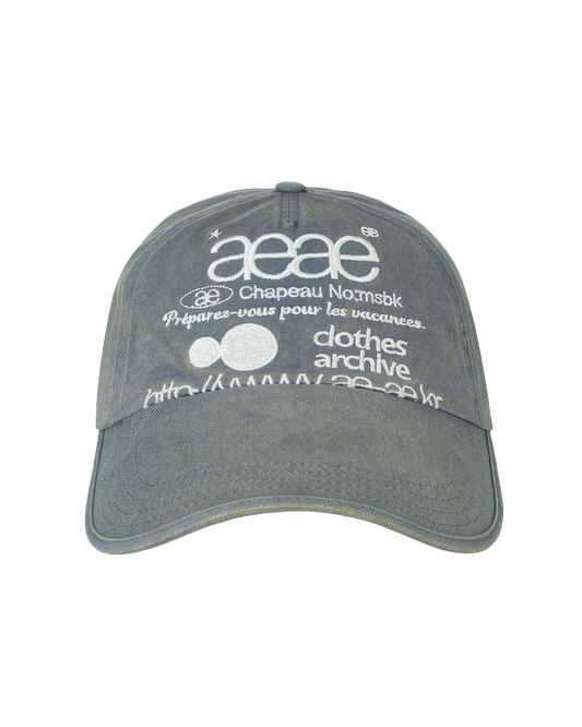 AEAE Web Logo Washed 5 Panel Ball Cap