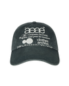 AEAE Web Logo Washed 5 Panel Ball Cap