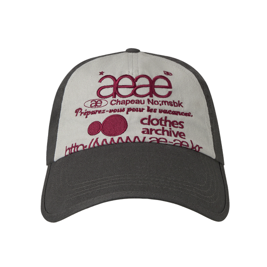 AEAE Web Logo 5 Panel Ball Cap