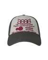 AEAE Web Logo 5 Panel Ball Cap