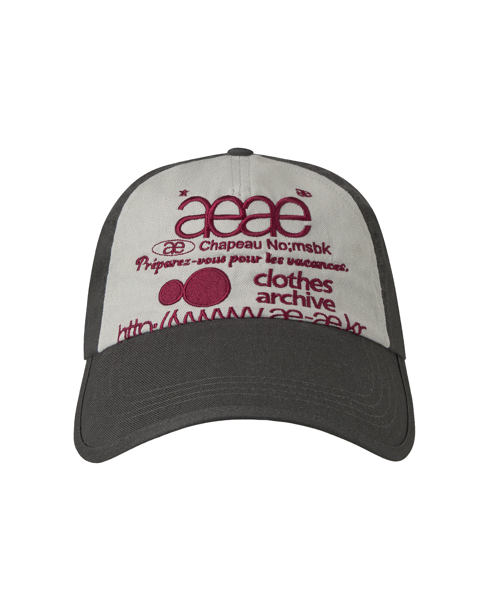 AEAE Web Logo 5 Panel Ball Cap