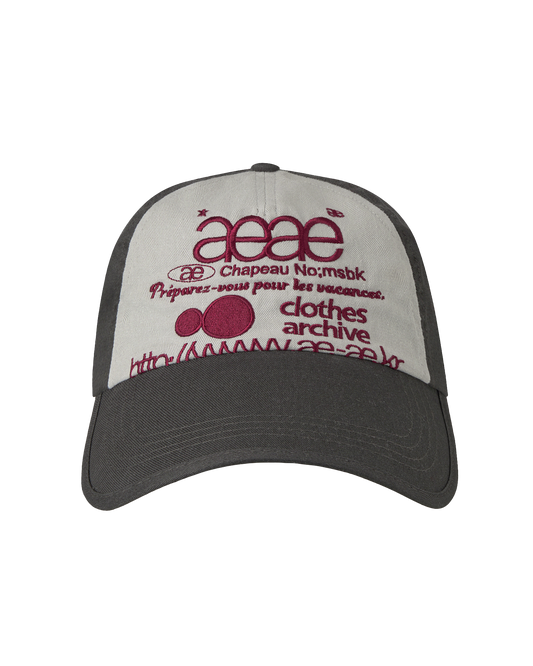 AEAE Web Logo 5 Panel Ball Cap