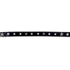 Tansanmagnesium 36 Stud Leather Belt in Star