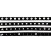 Tansanmagnesium 36 Stud Leather Belt in Star