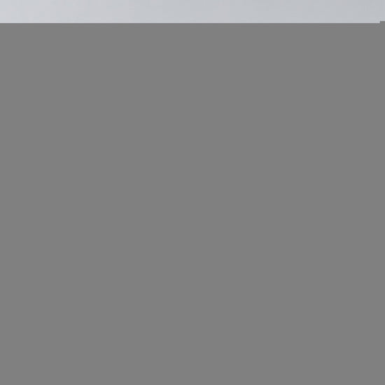 Tansanmagnesium Pony Hotfix Long Sleeve